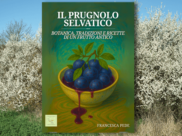 Il prugnolo selvatico: botanica, tradizioni e ricette di un frutto antico.