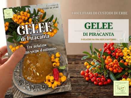 Gelèe di piracanta