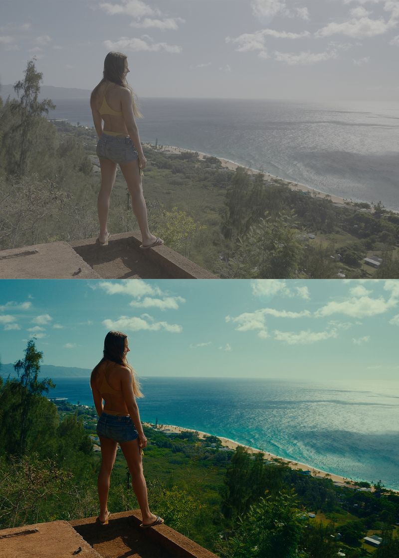 NEW V2 Jaxfilms Film LUTs for LOG | Most Popular