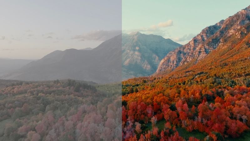 DJI D-Log Cinematic LUT Pack