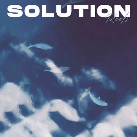 Solution -  REELS Toolkit 