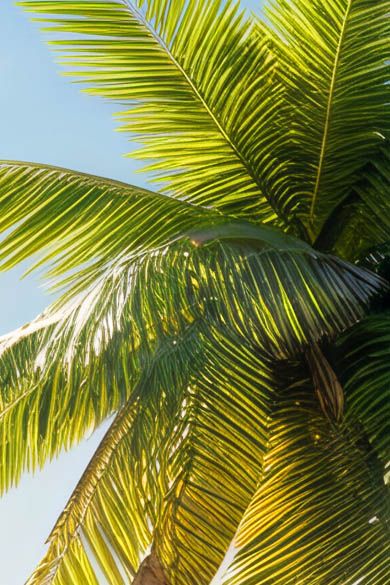 Beach Decor 02