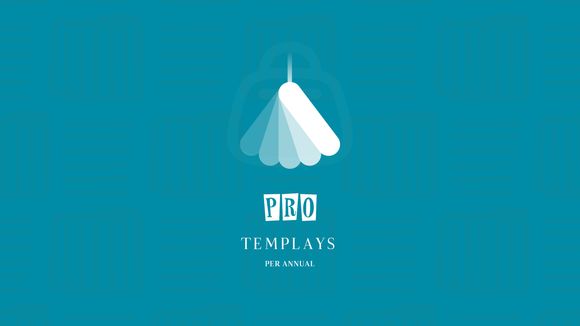 Pro — Premium Templates Blocs
