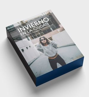 Estilo PREMIUM : INVIERNO en la CIUDAD  (Lightroom, Capture One, Lightroom app) 