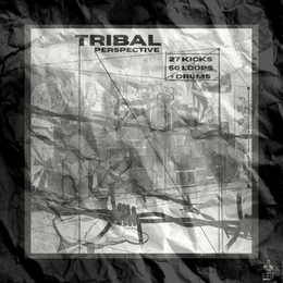 TRibal Perspective