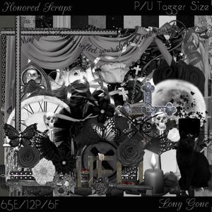 HS Long Gone - Tagger