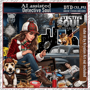DYD DETECTIVE SOUL