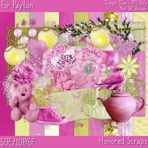 HS For Payton - Tagger