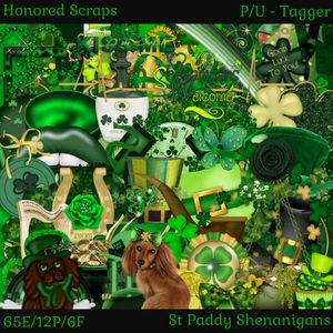 HS St Paddy Shenanigans - Tagger