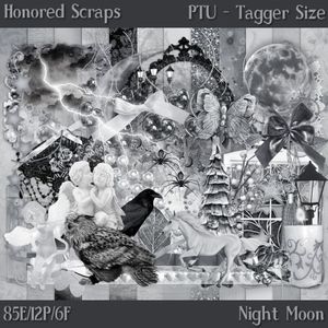 HS Night Moon - Tagger
