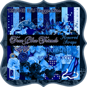 HS True Blue Friends - Tagger