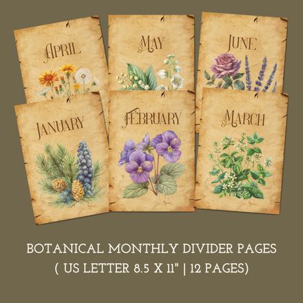 Witchy Monthly Dividers | Herbal Wildflower