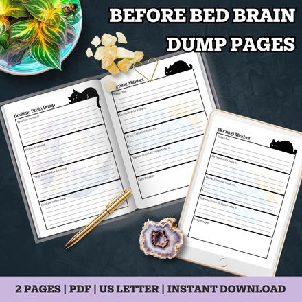 Morning &amp; Evening Reflection Pages | Printable Self Care Journal