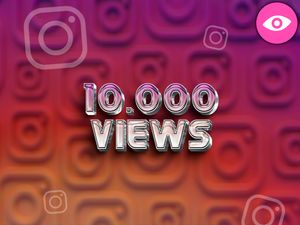 Paquete de Optimización Pro