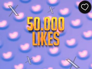 Paquete de Optimización Avanzado Pro