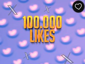 Paquete de Optimización Premium