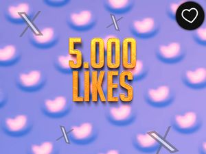 Paquete de Optimización Plus