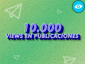 Paquete de Optimización Pro