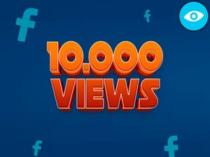 Paquete de Optimización Pro