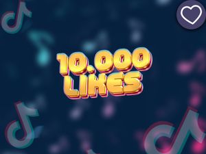 Paquete de Optimización Pro