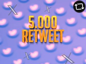 Paquete de Optimización Plus