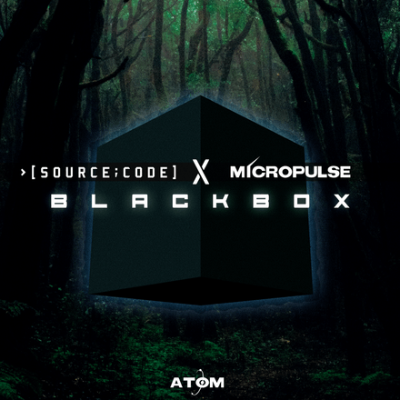 Source Code &amp; Micropulse - Blackbox (Free DL)