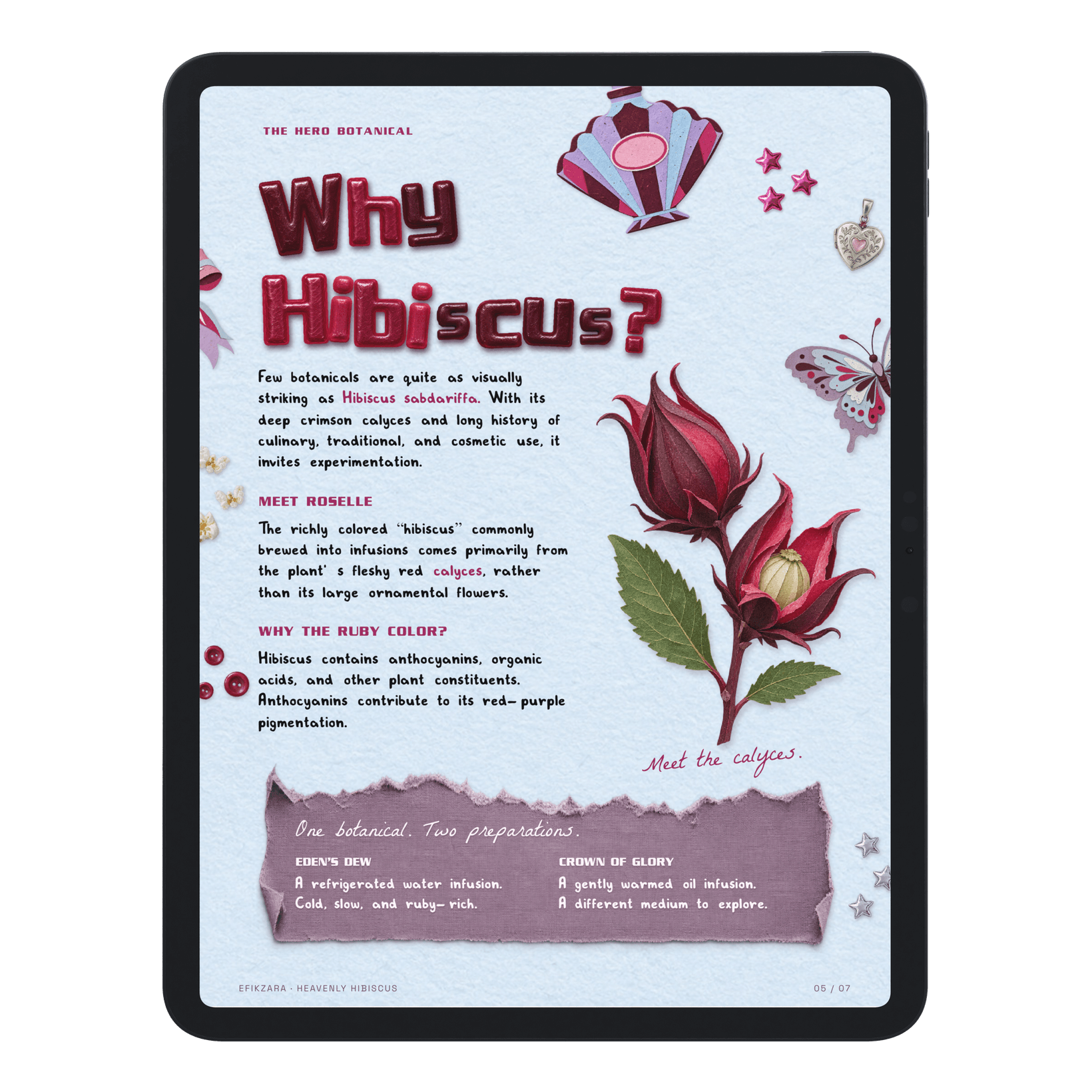 Actual Why Hibiscus page on an iPad