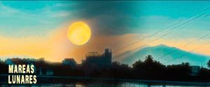 Mareas Lunares: Dream Pop Multisample Presets for the OP-XY
