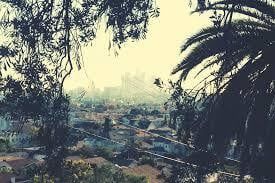 LA Beat Scene (OP-XY) + Low End Theory Sound-Packs