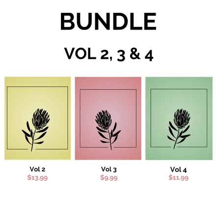 BUNDLE (Vol 2, 3 &amp; 4)