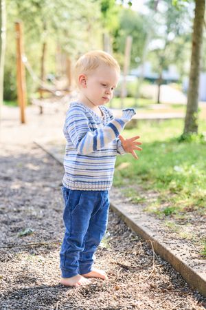 Pulli mit Raglan von oben im Farbverlauf