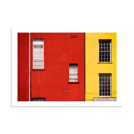 Bicolor