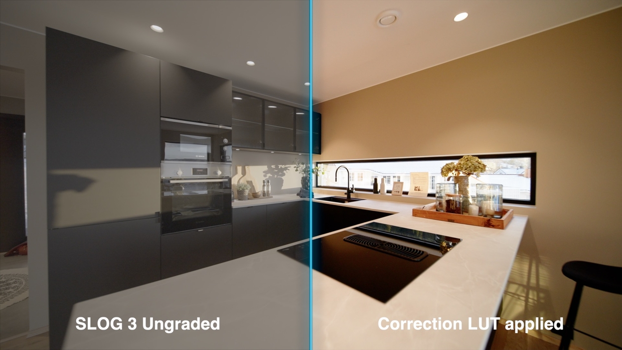 Sony slog 3 correction lut