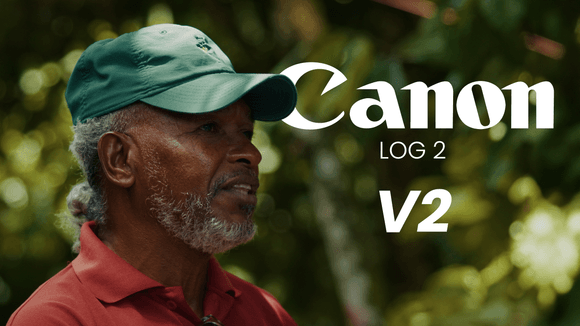 Ultimate C-Log 2 LUT Pack V2