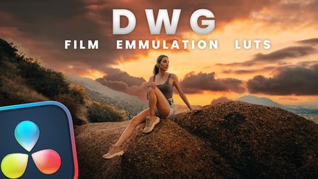 FREE DWG Film Emulation LUT&#x27;s 