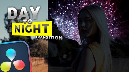 Day to Night LUT