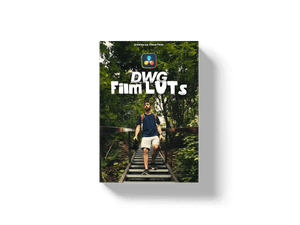 Vision Color Print Film Emulation LUTs (DWG)