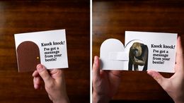 Knock Knock -  Funny DIY Greeting Card Template + Video Tutorial 