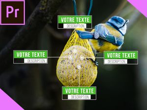 Pack 40 Titres Call Out sur Première Pro CC2019 et 2020