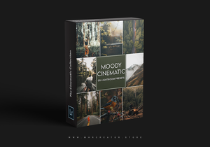 The Cinematic Collection