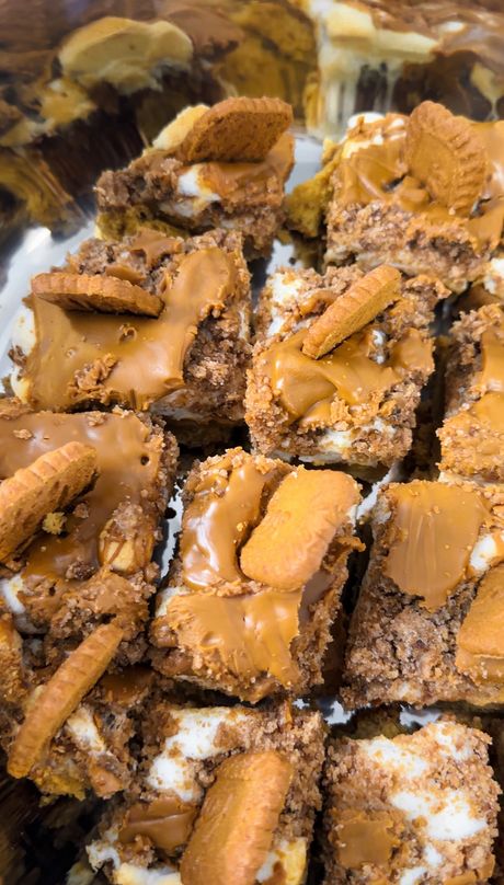 Cookie Butter Ooey Gooey Bars 