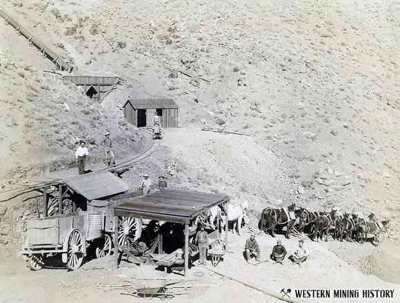 Dewey Tunnel of the Yellow-Aster Mine 1897