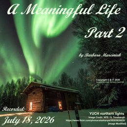 A Meaning Life - Part 2