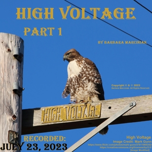 High Voltage - Part 1