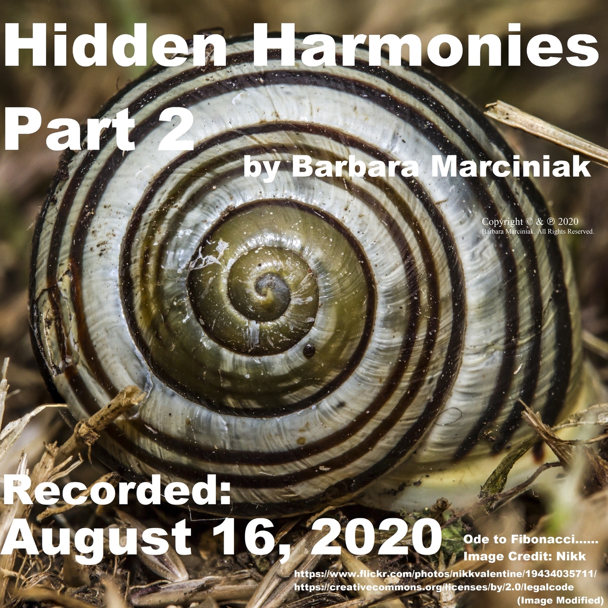 Hidden Harmonies Part 2