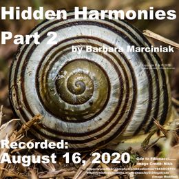 Hidden Harmonies - Part 2