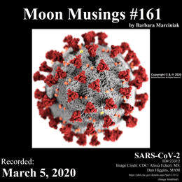 Moon Musings #161