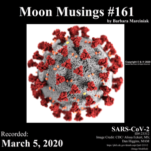 Moon Musings #161
