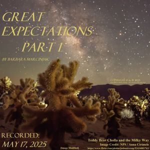 Great Expectations - Part 1