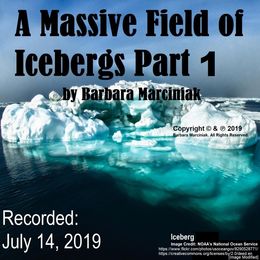 A Massive Field of Icebergs - Part 1